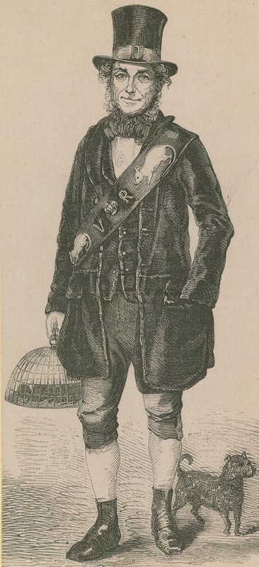 Cazador de ratas de English School