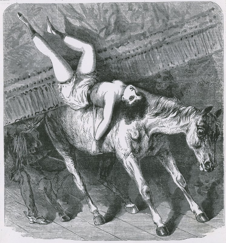 Recuerdos del Teatro Astleys, Londres, el caballo indomable y fogoso olvida su parte y el telón desafortunadamente desciende de English School