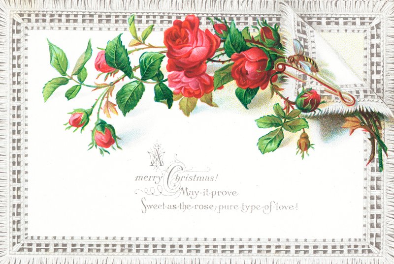Rosas rojas y mariposa, tarjeta de Navidad de English School