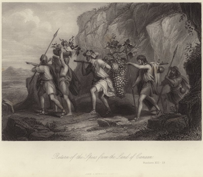 El regreso de los espías de la Tierra de Canaán de English School