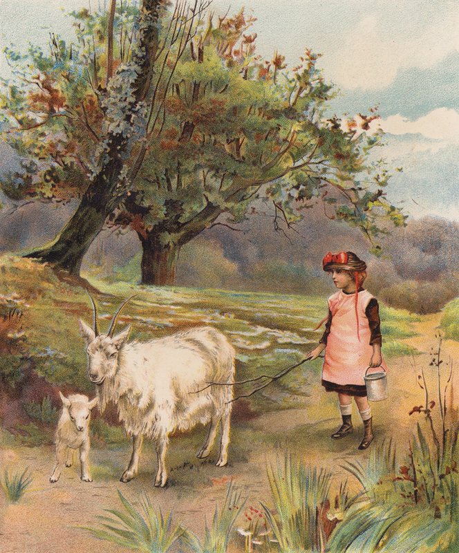Volver a casa (cromolito) de English School