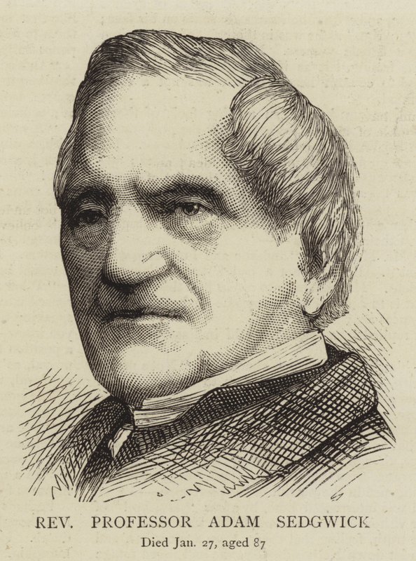 Reverendo profesor Adam Sedgwick (grabado) de English School