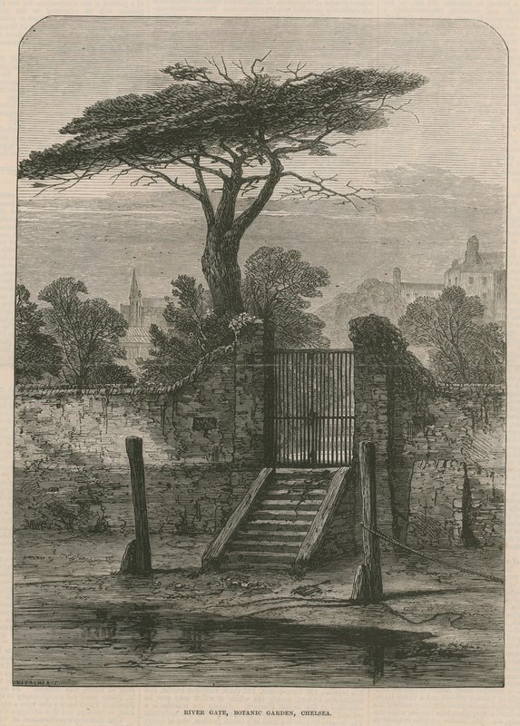 Puerta del río del Jardín Botánico de English School