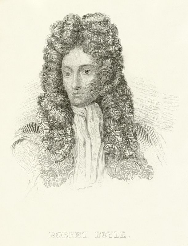 Robert Boyle de English School