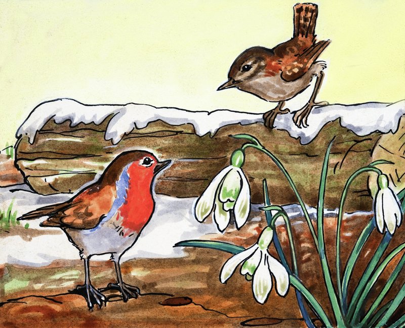 Petirrojo y Jenny Wren de English School