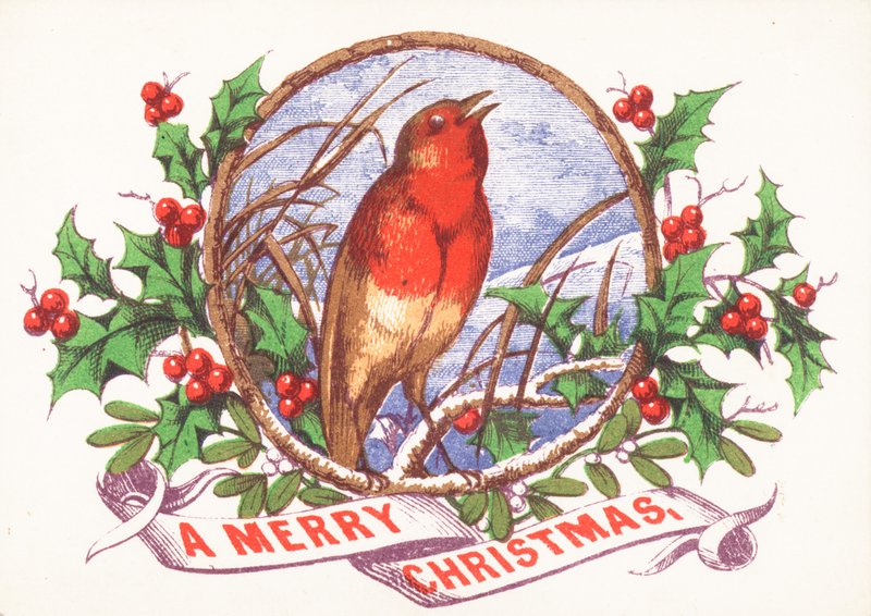 Petirrojo cantando en una rama, tarjeta de Navidad de English School