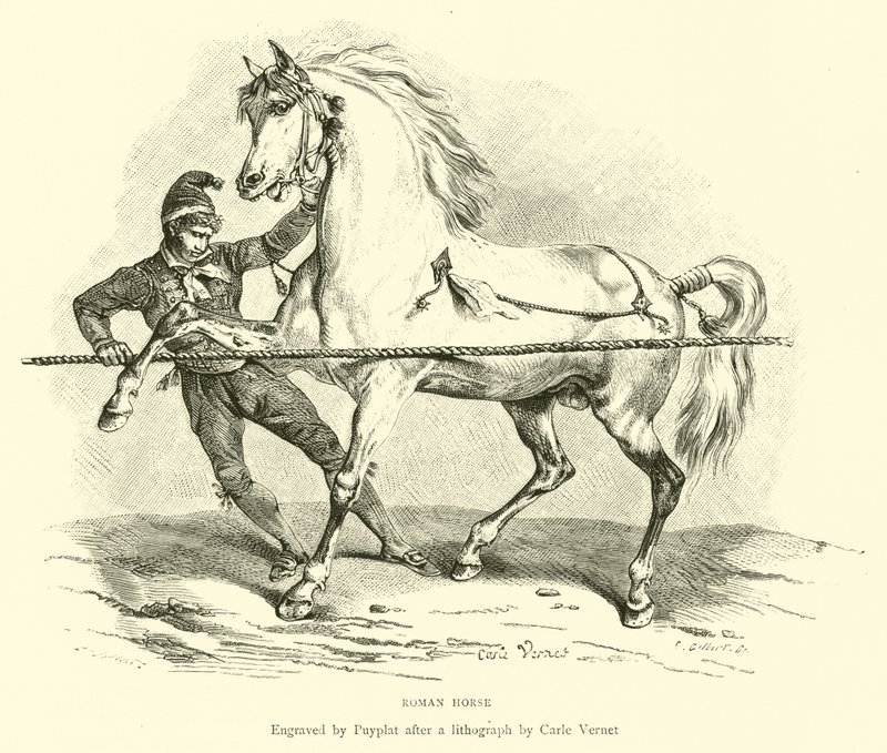 Caballo romano de English School
