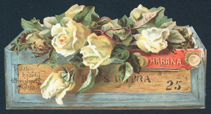 Rosas en caja de cigarros de English School