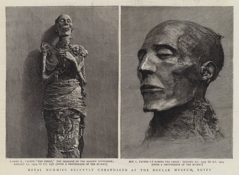 Momias reales recientemente desvendadas en el Museo Boulak, Egipto de English School