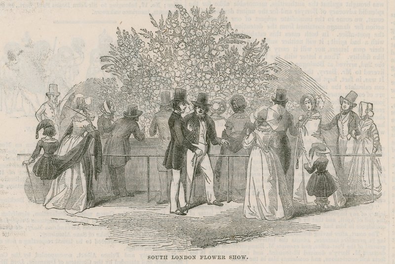 Sociedad Hortícola Real del Sur de Londres de English School