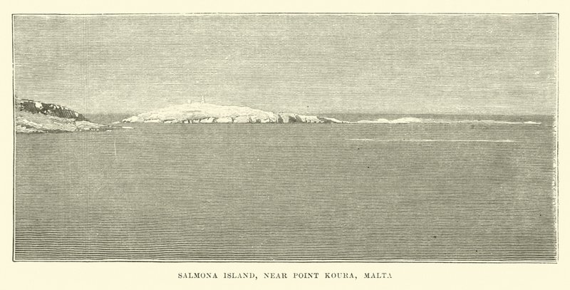 Isla Salmona, cerca del Punto Koura, Malta de English School