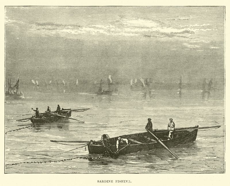 Pesca de sardinas de English School