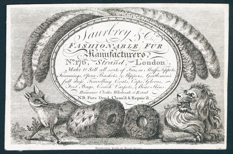 Saubry & Co, fabricantes de pieles de moda de English School