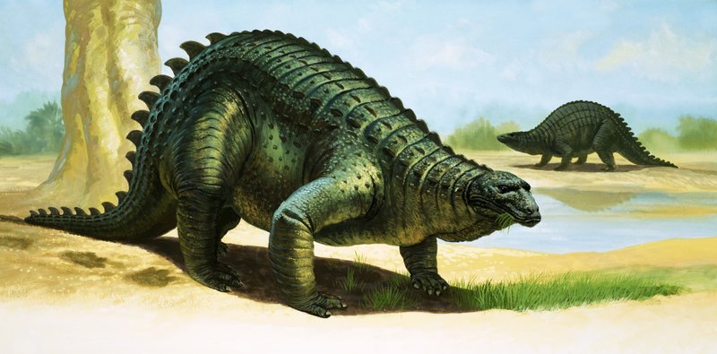 Scelidosaurus de English School