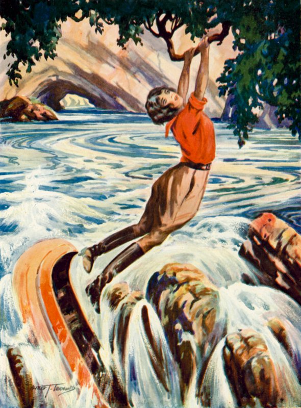 Escena de "Los pies tiernos": una mujer evita caer por un salto de agua en su canoa agarrándose a la rama colgante de un árbol (litografía en color). de English School