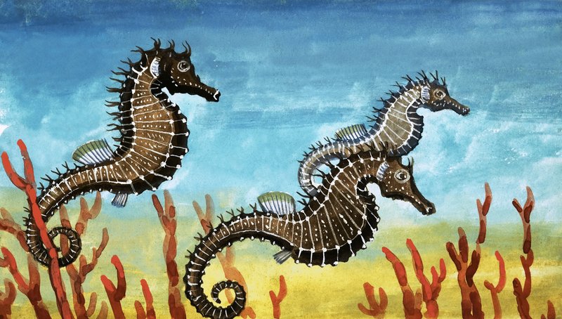 Caballitos de mar de English School