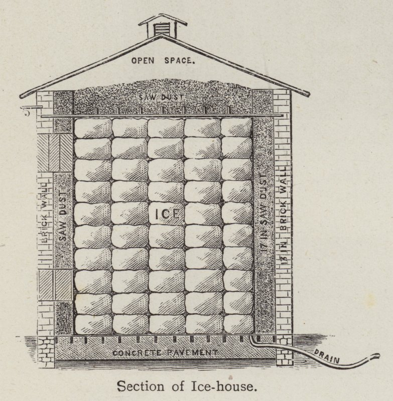 Sección de la Casa de Hielo de English School