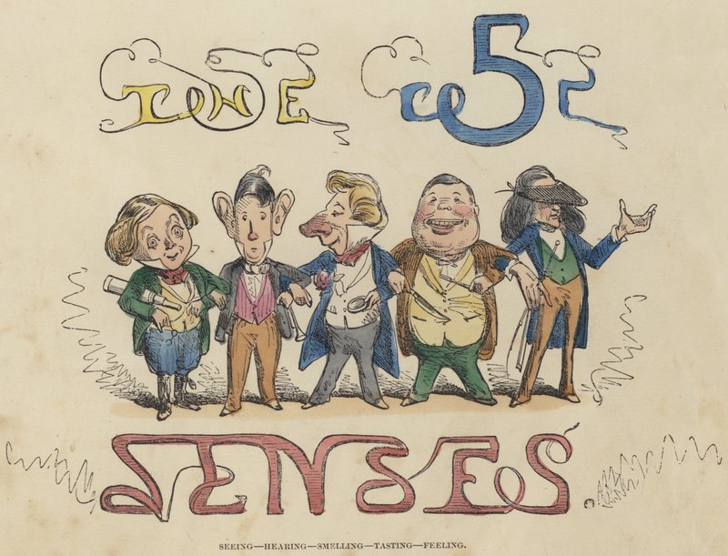 Ver, Oír, Oler, Gustar, Sentir de English School