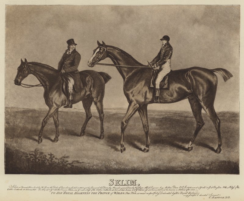 Selim (litografía) de English School