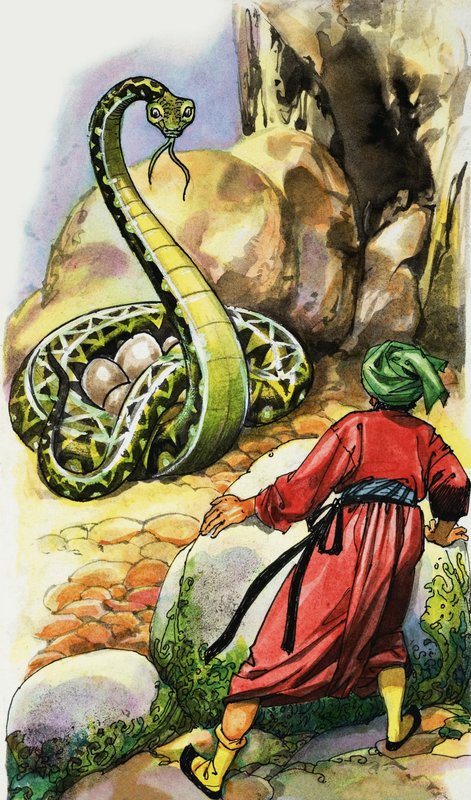 Serpiente protegiendo sus huevos de English School