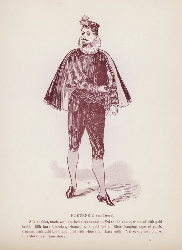 La fierecilla domada de Shakespeare: Hortensio de English School
