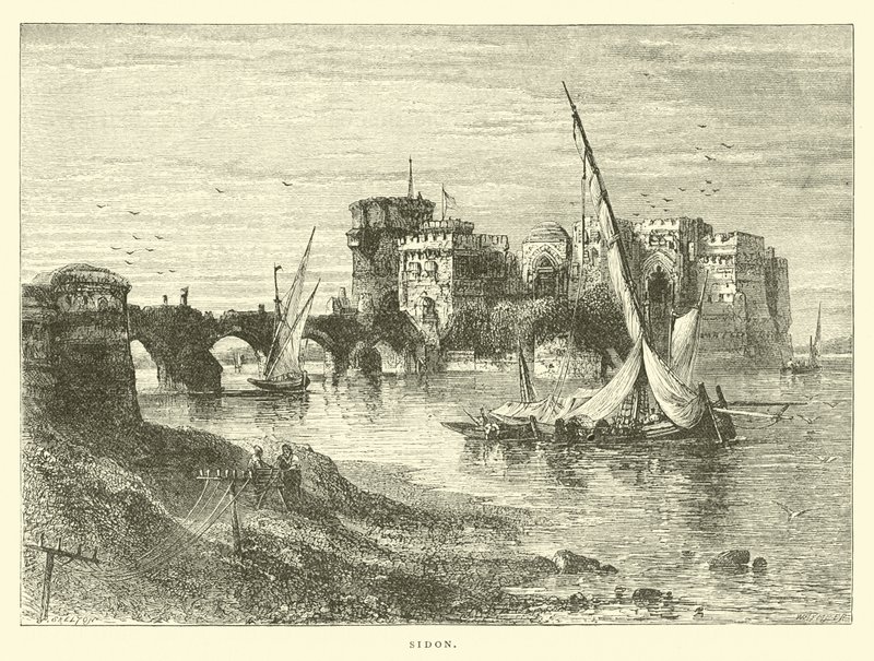 Sidón de English School