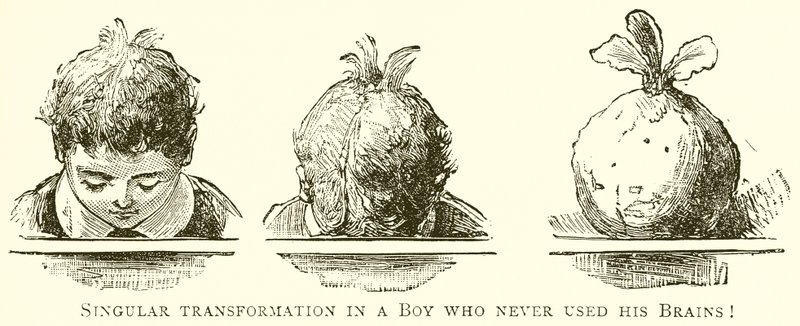 Transformación singular en un niño que nunca usó su cerebro de English School