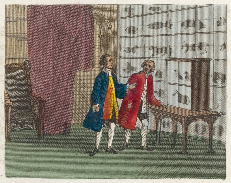 Museo de Sir Hans Sloane (grabado coloreado) de English School