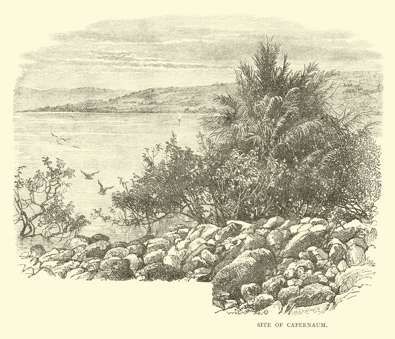 Sitio de Capernaum de English School