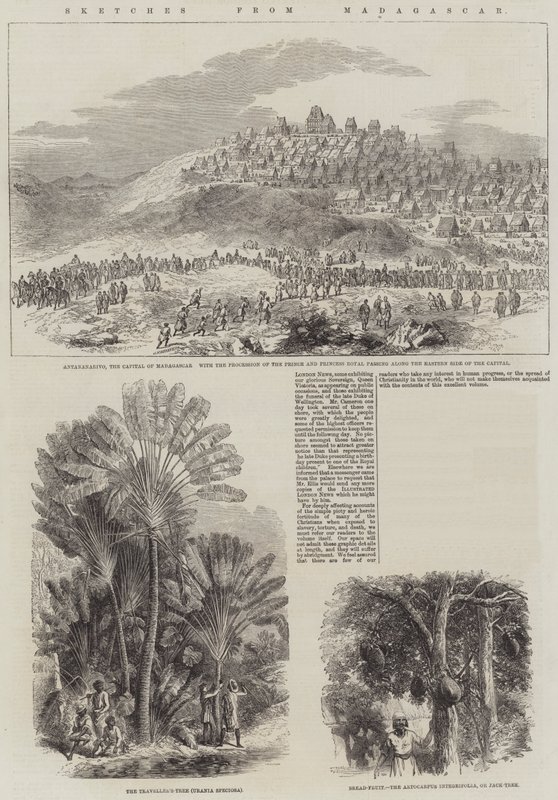 Bocetos de Madagascar (grabado) de English School