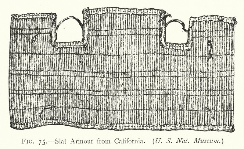 Armadura de listones de California (litografía) de English School