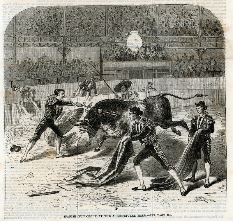 Corrida de toros española en el Salón Agrícola, Islington de English School