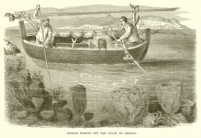 Pesca de esponjas en la costa de Grecia de English School