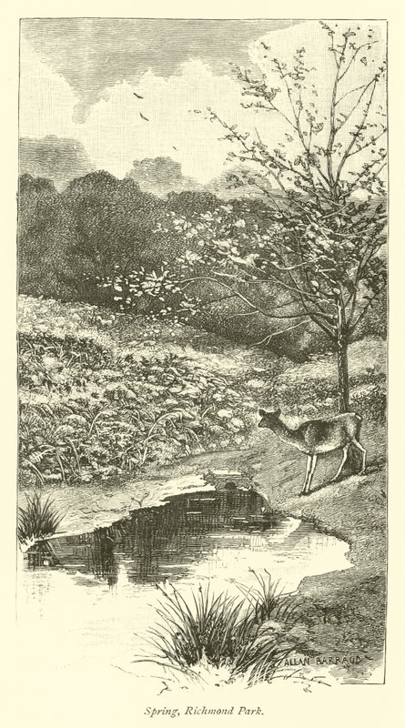 Primavera, Parque de Richmond de English School