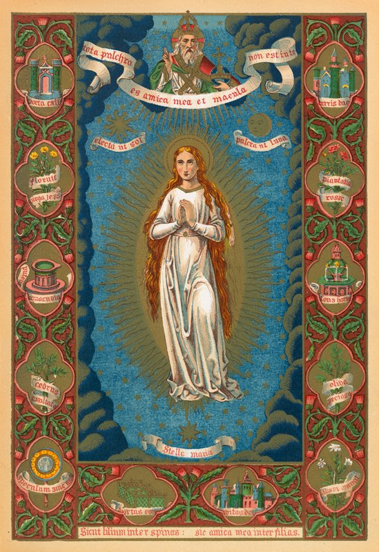 Santa María de English School