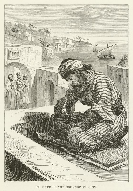 San Pedro en la azotea en Joppe de English School