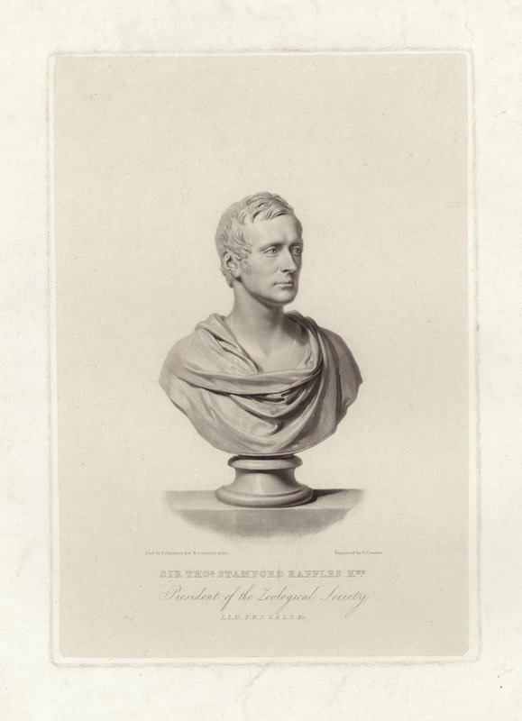 Stamford Raffles de English School