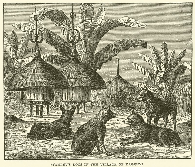 Los perros de Stanley en el pueblo de Kagehyi (grabado) de English School