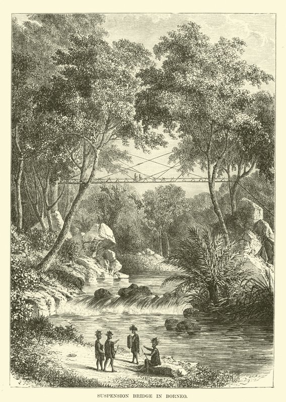 Puente colgante en Borneo de English School