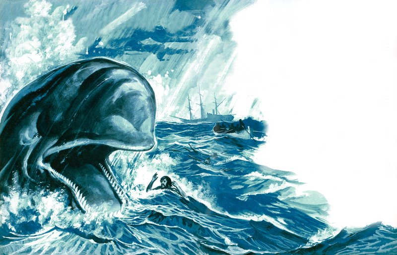 Tragado por una ballena de English School