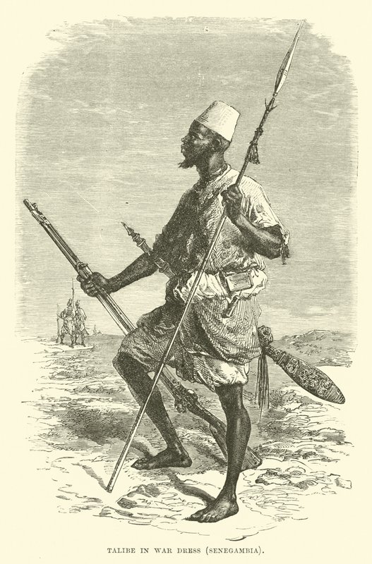 Talibe en traje de guerra, Senegambia de English School