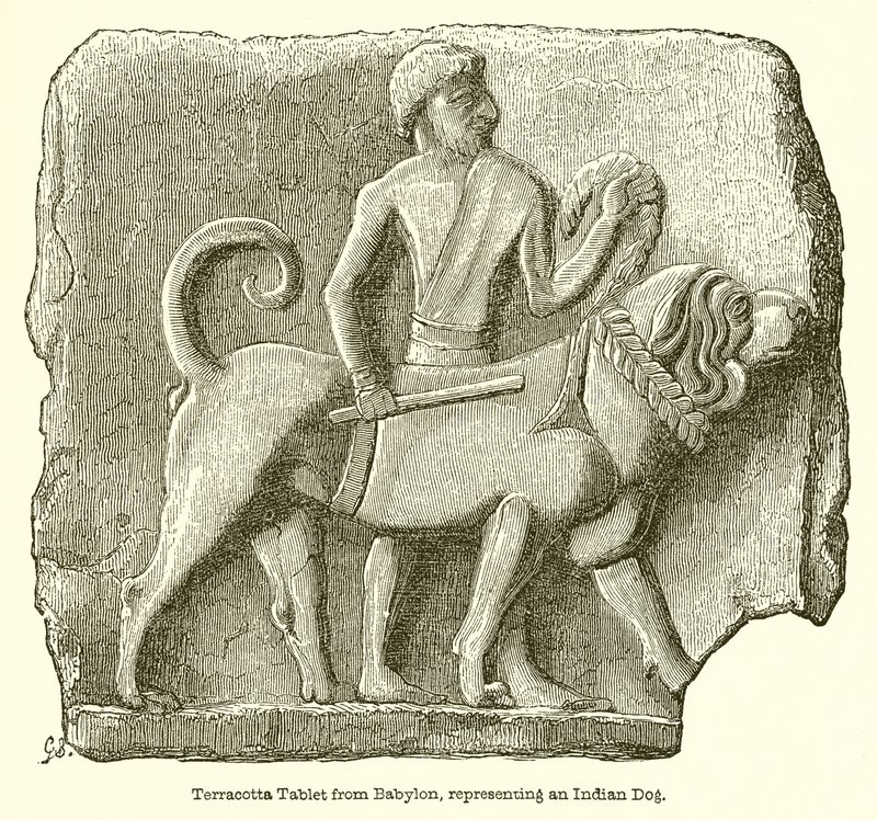 Tabla de terracota de Babilonia, representando un perro indio de English School
