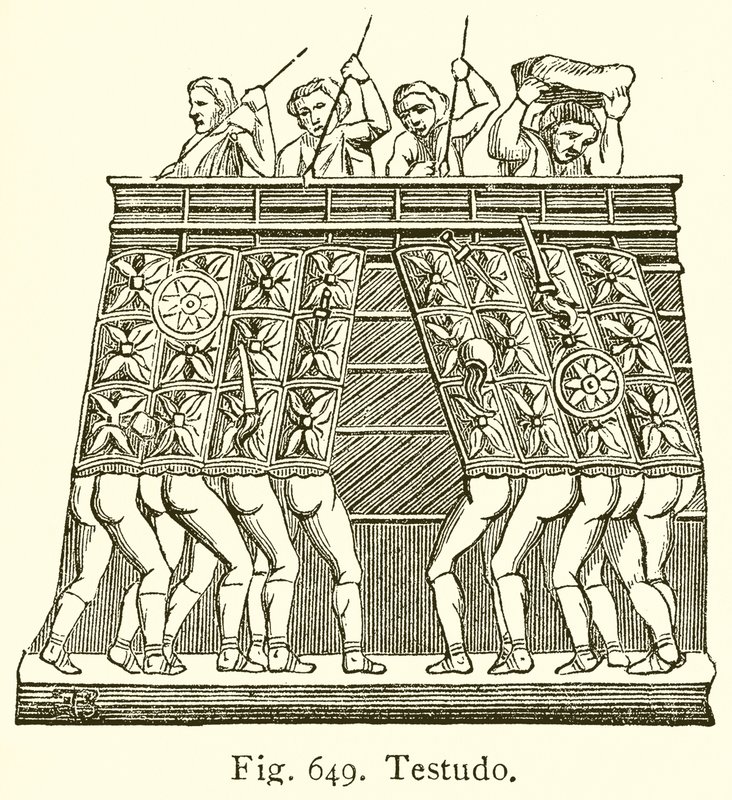 Testudo de English School