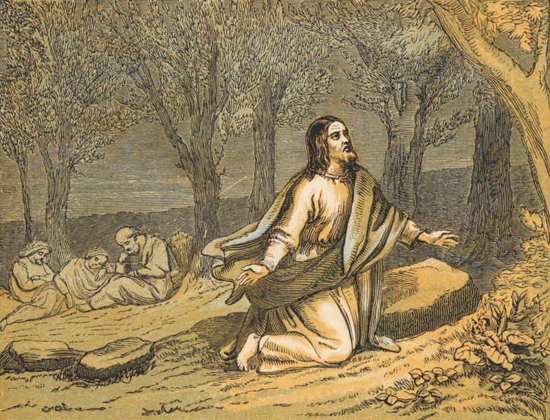 La agonía en el jardín de English School