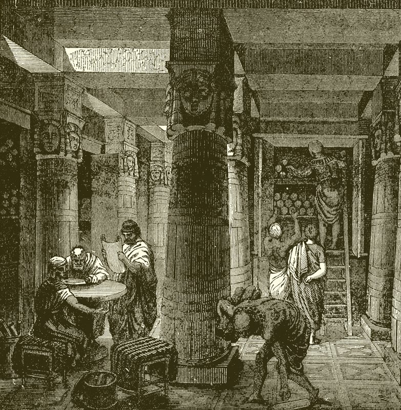 La biblioteca de Alejandría de English School