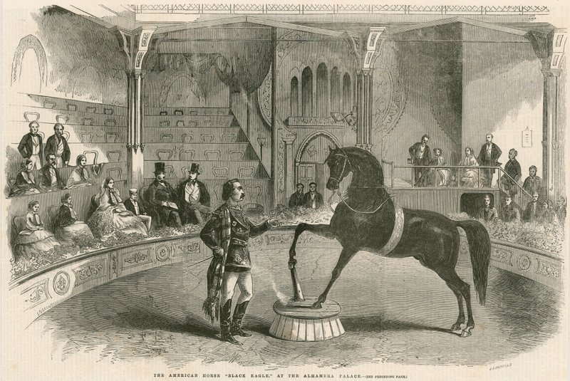 El caballo americano Águila Negra en el Palacio Alhambra (Teatro Alhambra), Leicester Square, Londres de English School