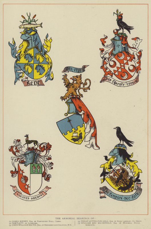 Los escudos de armas de English School