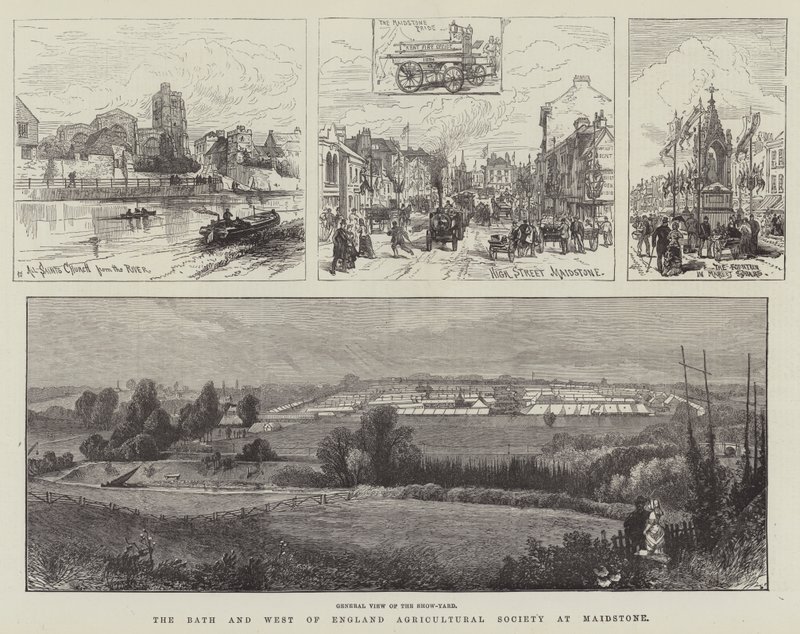 La Sociedad Agrícola de Bath y del Oeste de Inglaterra en Maidstone (grabado) de English School