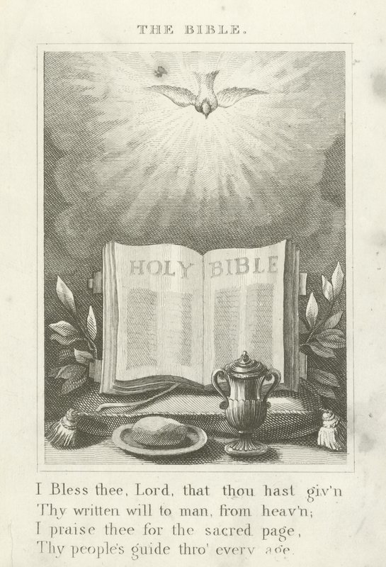 La Biblia de English School