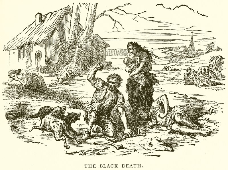La Peste Negra de English School